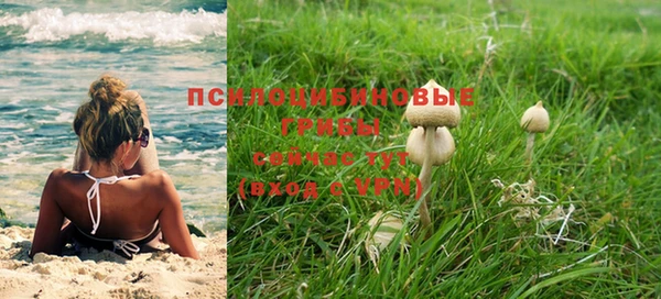 ГАЛЛЮЦИНОГЕННЫЕ ГРИБЫ Кулебаки
