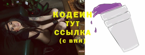 ГАЛЛЮЦИНОГЕННЫЕ ГРИБЫ Кукмор