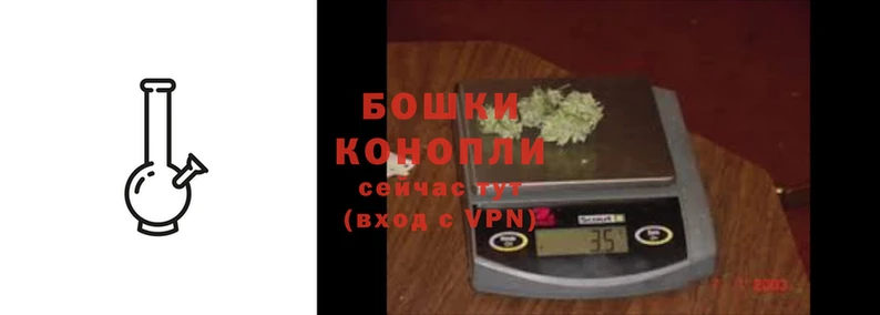 ГАЛЛЮЦИНОГЕННЫЕ ГРИБЫ Кулебаки