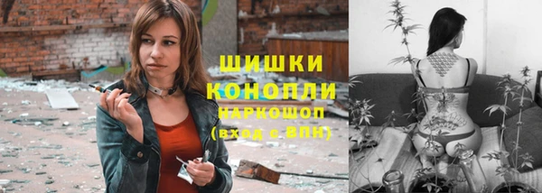 ГАЛЛЮЦИНОГЕННЫЕ ГРИБЫ Кулебаки